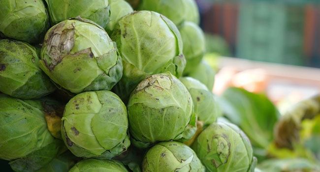 Benefits of Brussels Sprouts