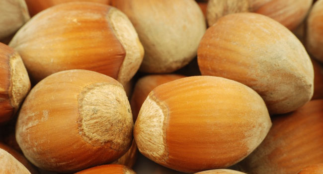 Hazelnuts Health Benefits