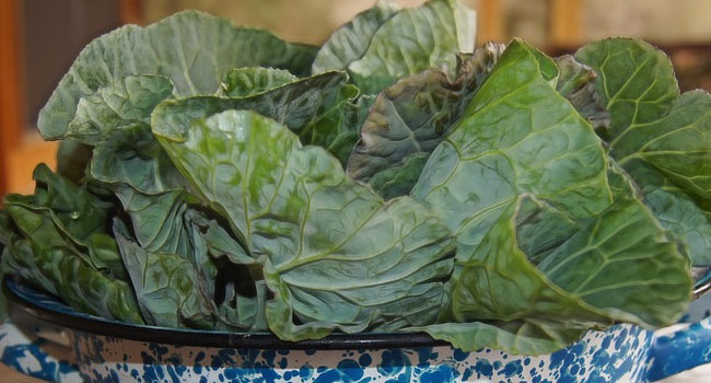 Benefits of Collards