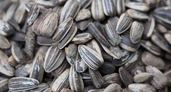 Benefits of Sunflower Seeds