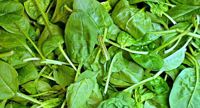 Benefits of Spinach