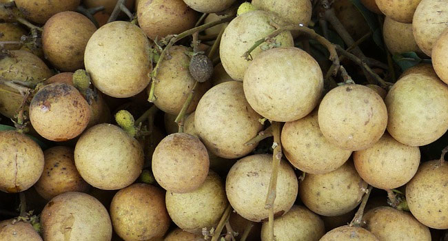 Benefits of Longan