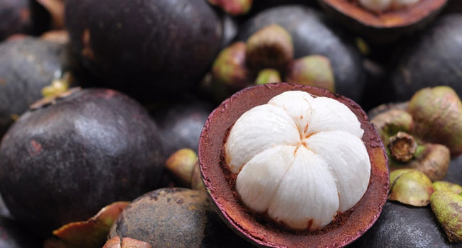 Benefits of Mangosteen