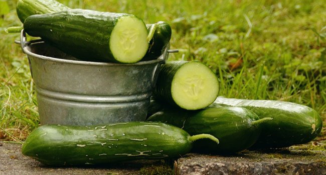 Benefits of Cucumber
