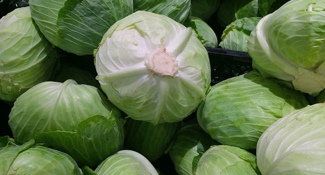 Benefits of Cabbage