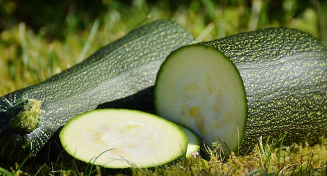 Benefits of Zucchini