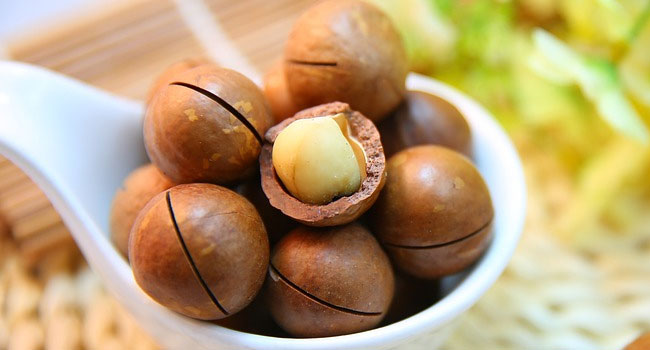 Benefits of Macadamia