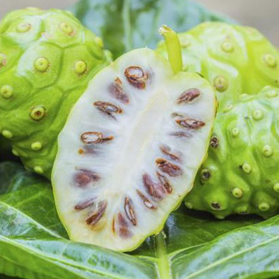 Superfood Noni